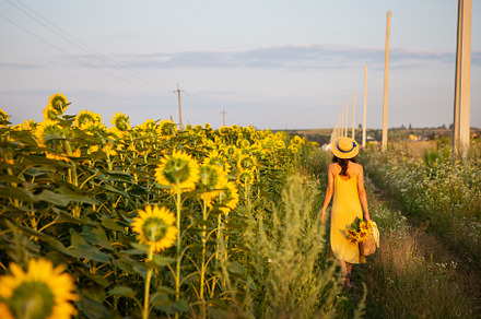 A girl in a yellow dress and a straw hat walks in the middle of a large field o, a Person Photo by Artsaba Family