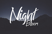 Red Swith Font, a Script Font by FahmiType (Thumbnail 4 of 5)