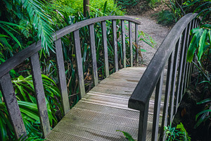 Walkway and wooden bridge, a Nature Photo by Alpine Dreams