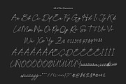 CS Baylora – Signature Script Font, a Script Font by Craft Supply Co. (Thumbnail 8 of 8)