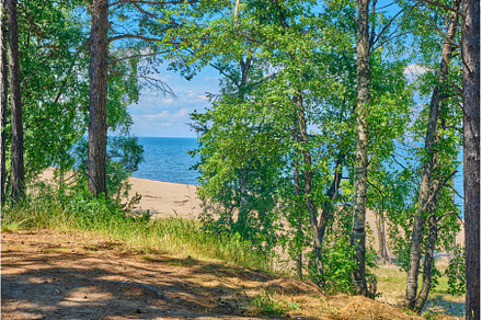 Lake Baikal coast, hill with forest