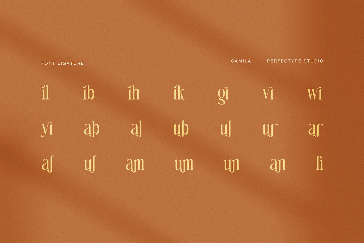 Camila Elegant Ligature Serif Font, a Serif Font by Perfectype (Photo 8 of 8)