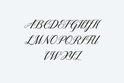 Angelina Rosemary Script Wedding, a Script Font by UICreative (Thumbnail 5 of 13)
