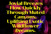 Savium - High Contrast Serif Font, a Serif Font by Pokal Studio (Thumbnail 2 of 12)
