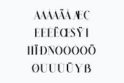 Cintary Modern Serif Font, a Serif Font by Maryamtype Studio (Thumbnail 12 of 15)