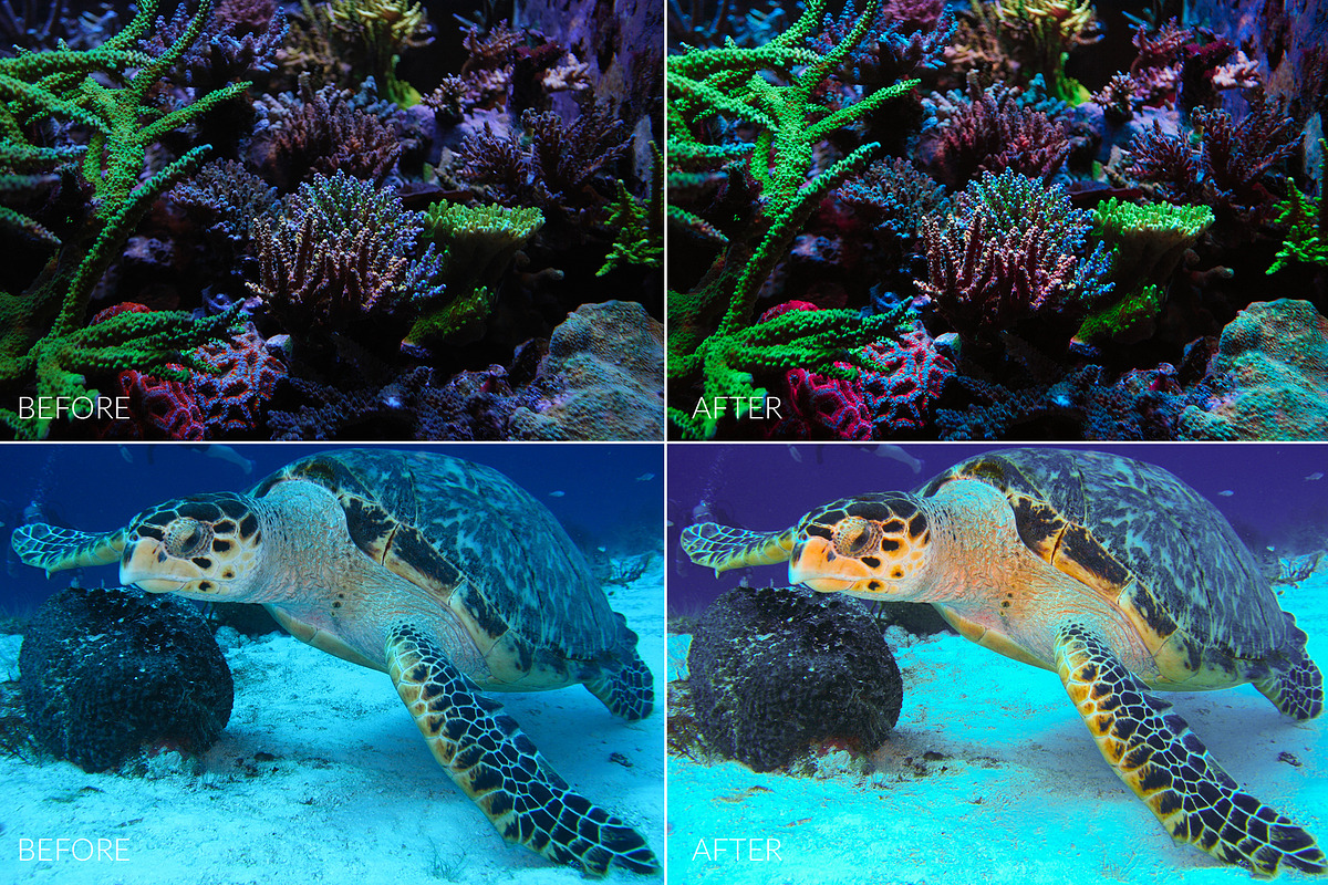 Barrier Reef Lr Presets, an Action Add-On by PandoraDreams (Photo 5 of 7)