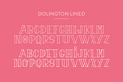 Dolington Font Duo, a Serif Font by Salt & Pepper Designs (Thumbnail 6 of 8)