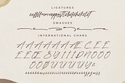 Melodies Constellation Font Duo, a Serif Font by Storytype Studio (Thumbnail 12 of 15)