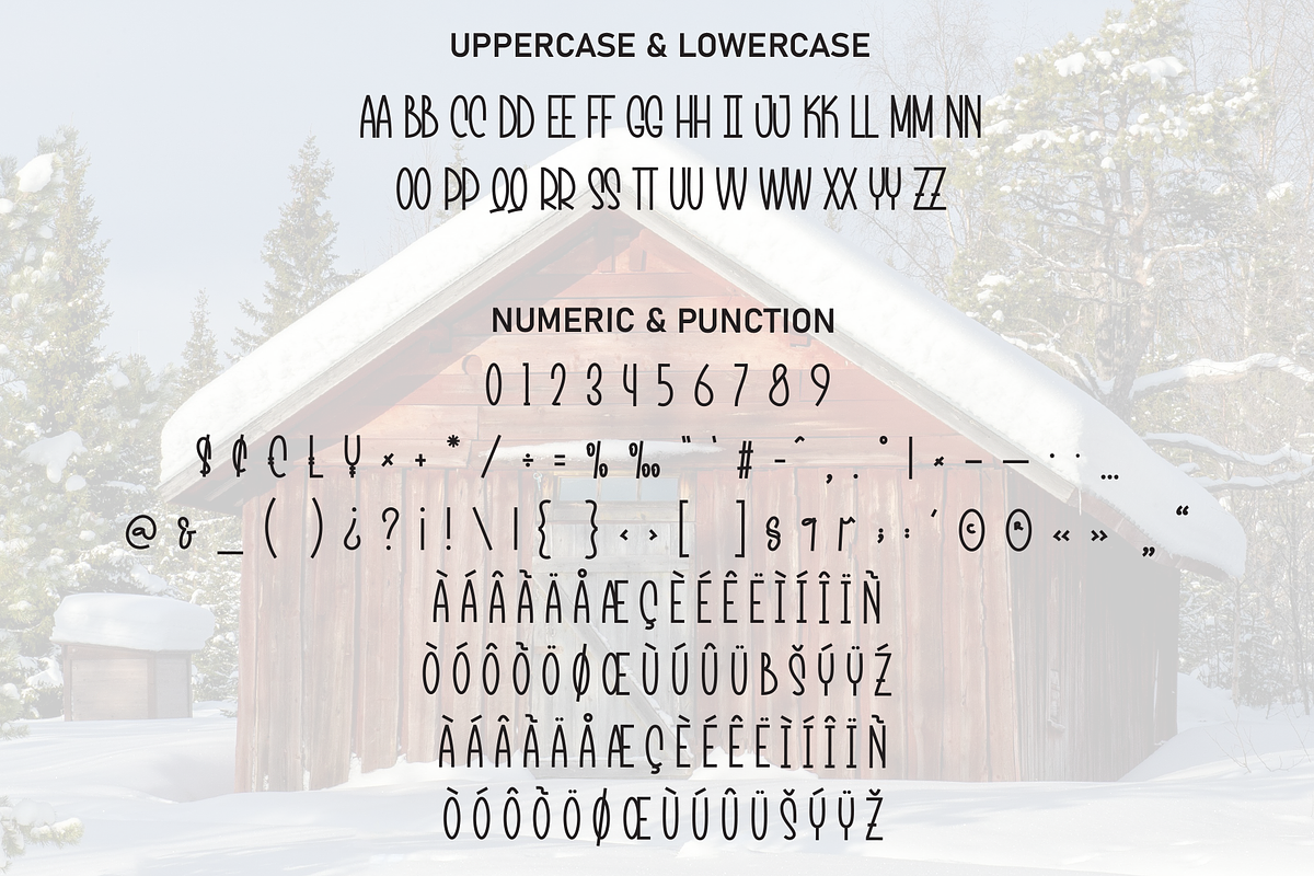 Snowhouse | Script Font, a Script Font by Scratchones (Photo 7 of 9)