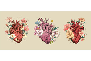 Sketch hearts with flowers. Medical, an Illustration by Valerie Bodnar