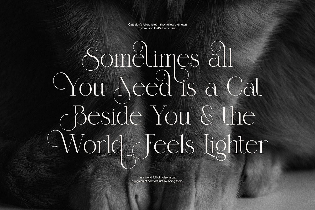 Beauty Sind Elegant Serif Font, a Serif Font by Graphicxell (Photo 5 of 8)