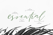 San Clemente | A Carefree Script, a Script Font by Jen Wagner Co (Thumbnail 3 of 8)