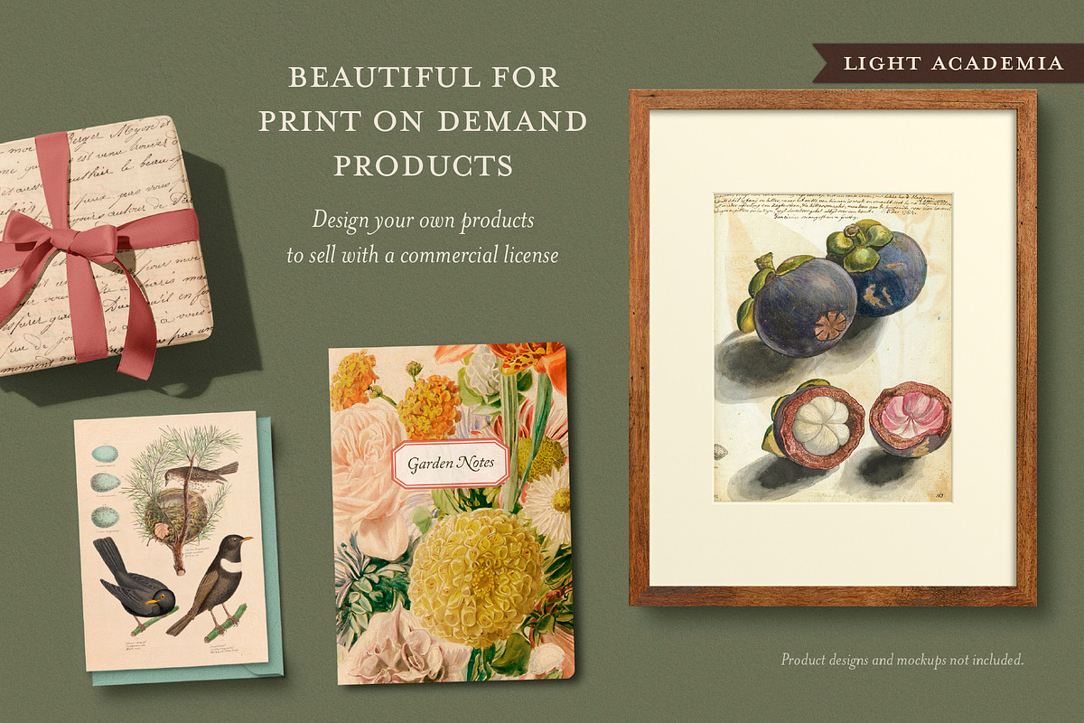BUNDLE: 600 Academia Ephemera, an Object Graphic by The Object Atlas (Photo 4 of 16)
