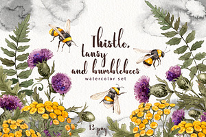 Thistle tansy bumblebees watercolor