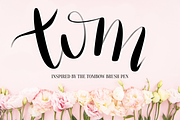 Procreate Lettering Brushes Bundle, a Brush Add-On by Nap Time Design Co. (Thumbnail 9 of 11)