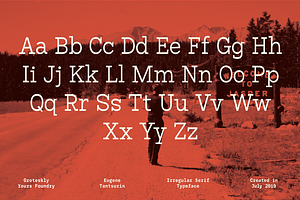 Bardamu Happy & Weird Slab Serif