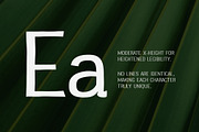 Greenstyle Great Vibes Casual Font, a Sans Serif Font by Parker Creative (Thumbnail 3 of 9)