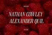 Acelon – Condensed Serif, a Sans Serif Font by Craft Supply Co. (Thumbnail 4 of 8)