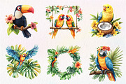 Tropical Bird Png, Jungle Bird Clipa, an Illustration by CreationArt (Thumbnail 8 of 9)