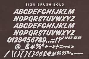 Sign Brush Bold Display Type