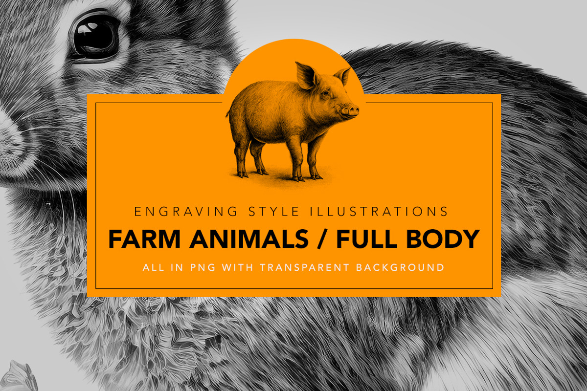 Farm animals - illustrations, an Animal Illustration by Graxaim Mock-up (Photo 1 of 5)