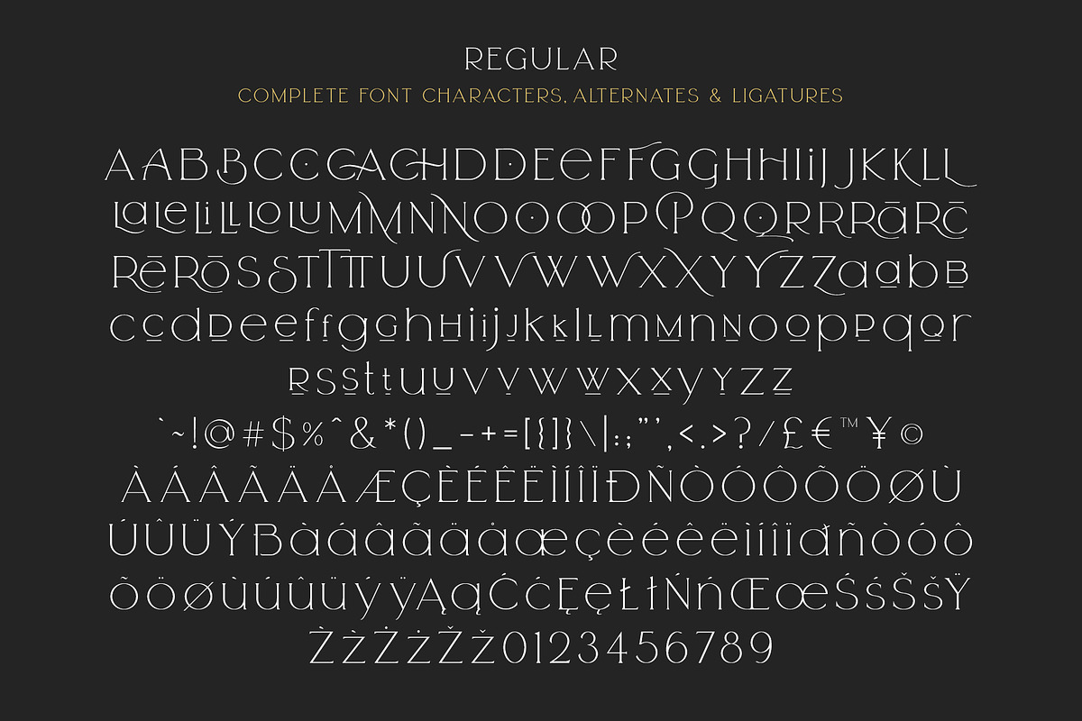 Arrogant Font, a Serif Font by Graphicdome (Photo 23 of 24)