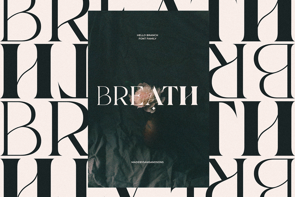Hello Branch 8 Font Family, a Serif Font by Sans & Sons (Photo 7 of 12)