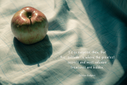 Note Writer Handwritten Font, a Handwritten Font by Alisa Wismer Design (Thumbnail 5 of 6)