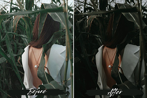 10 Moody Green Lightroom Presets