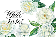 White roses, a Decorative Illustration by Watercolor life (Thumbnail 1 of 7)