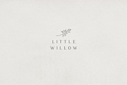 Chic and Stylish Variable Serif Font, a Serif Font by pixelcolours (Thumbnail 13 of 14)