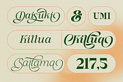 Stella Aesta - 10 Butterfly Font, a Serif Font by Dharmas Foundry (Thumbnail 5 of 17)