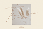 Daenerys | Extra Thin Signature Font, a Script Font by Ardana Creative (Thumbnail 11 of 11)
