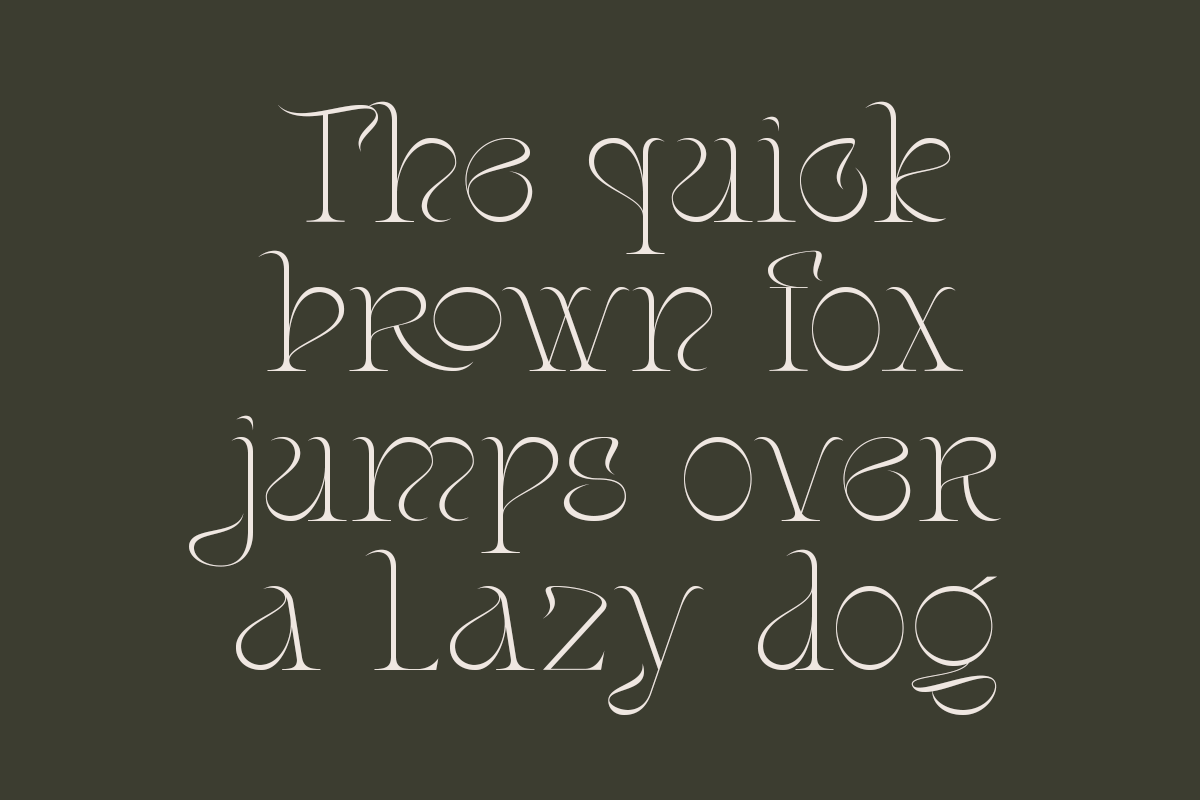 Stager - Unique Classy Serif, a Serif Font by Dharmas Foundry (Photo 12 of 15)