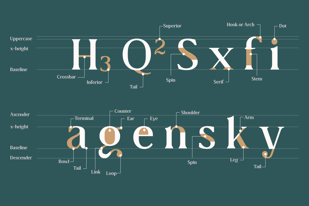 Collager | Modern Serif Family, a Serif Font by Gilar Studio (Photo 4 of 11)
