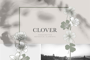 Clover Botanicals - Florals & Leaves