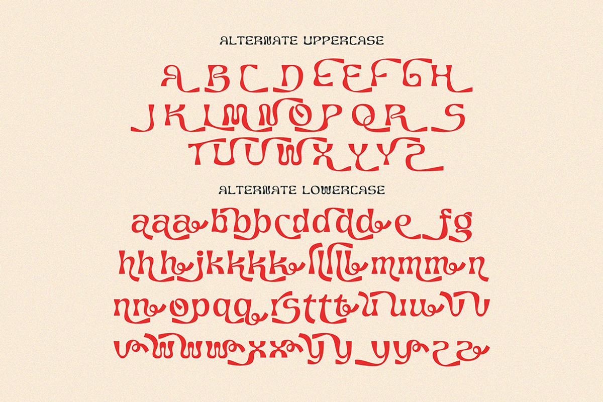 Turbard Modern Serif, a Serif Font by Cruzine (Photo 7 of 9)