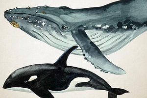 Whales - Watercolor Clip Art & Print