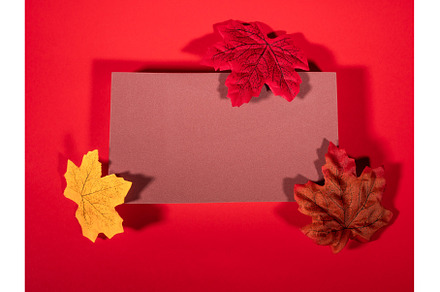 Autumn trendy background. Red and, a Holiday Photo by Lifemorning