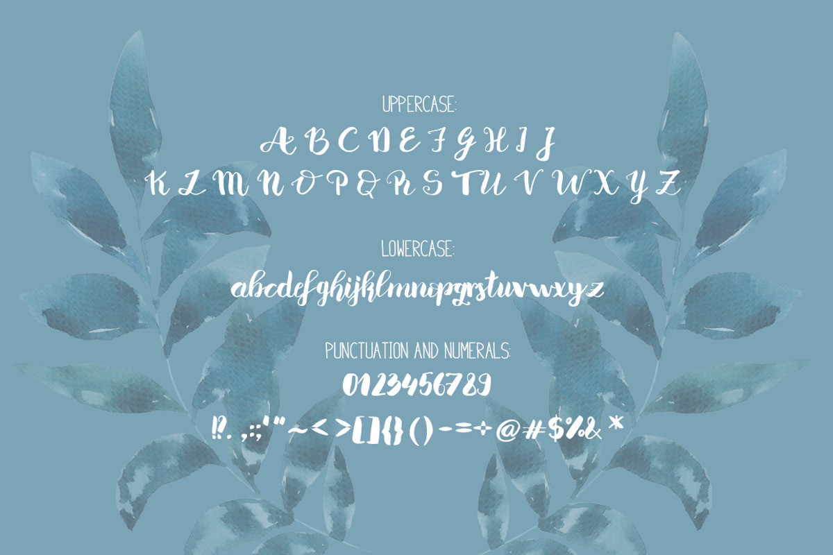 Aquila -Script font preview 2