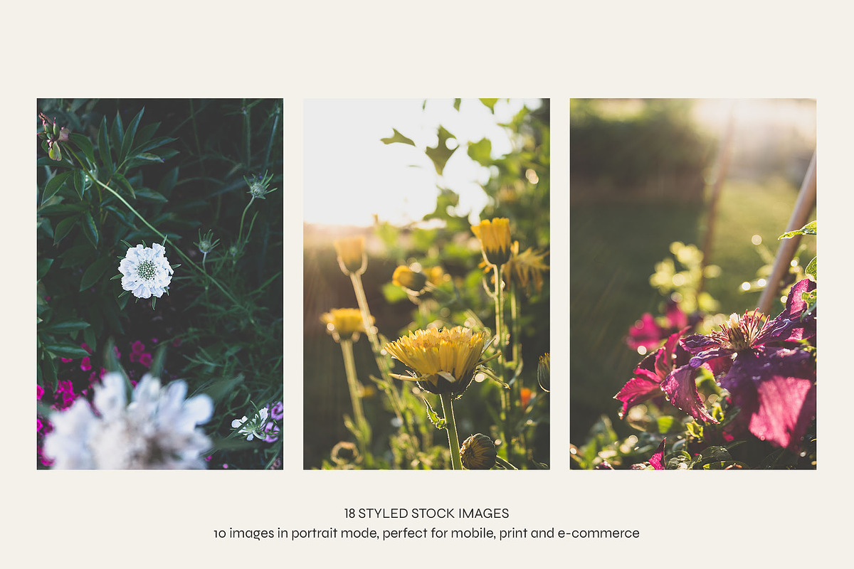 Garden Sunset | Photo Bundle, a Nature Photo by The Responsible Creatives (Photo 7 of 11)
