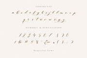 Lucylove - Modern Calligraphy, a Script Font by delipensil (Thumbnail 8 of 11)