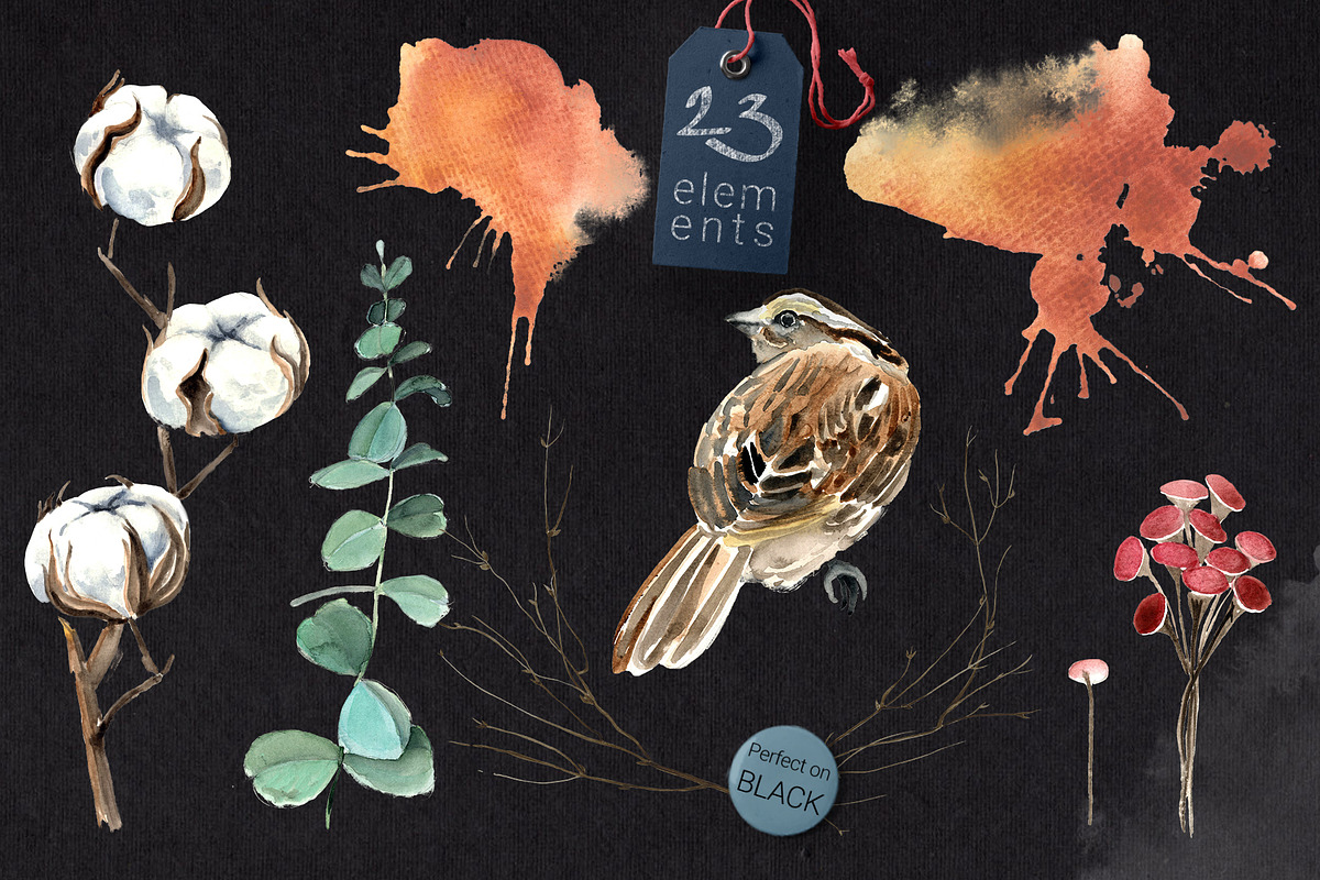 Birds and  Cotton Watercolor Set, an Illustration by WBS Design (Photo 5 of 9)
