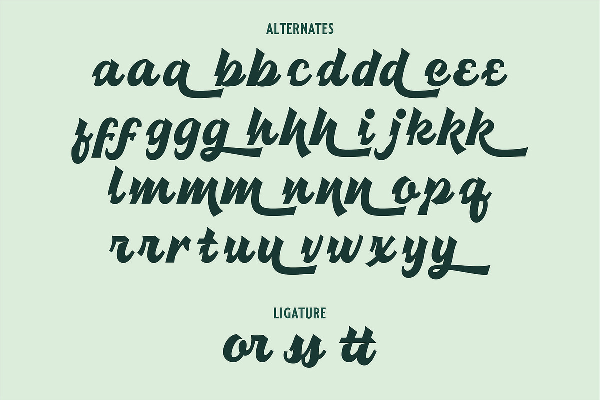 ATHLANTIK - Bold Script, a Script Font by Havinkpen (Photo 8 of 8)