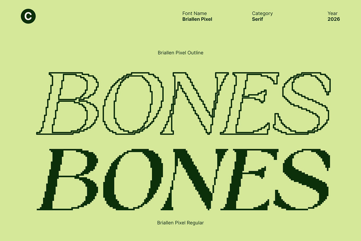 Briallen Pixel, a Serif Font by Craft Supply Co. (Photo 3 of 8)