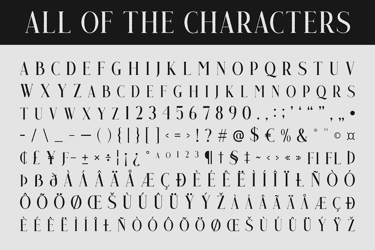 Qualey Rough, a Serif Font by Craft Supply Co. (Photo 8 of 8)