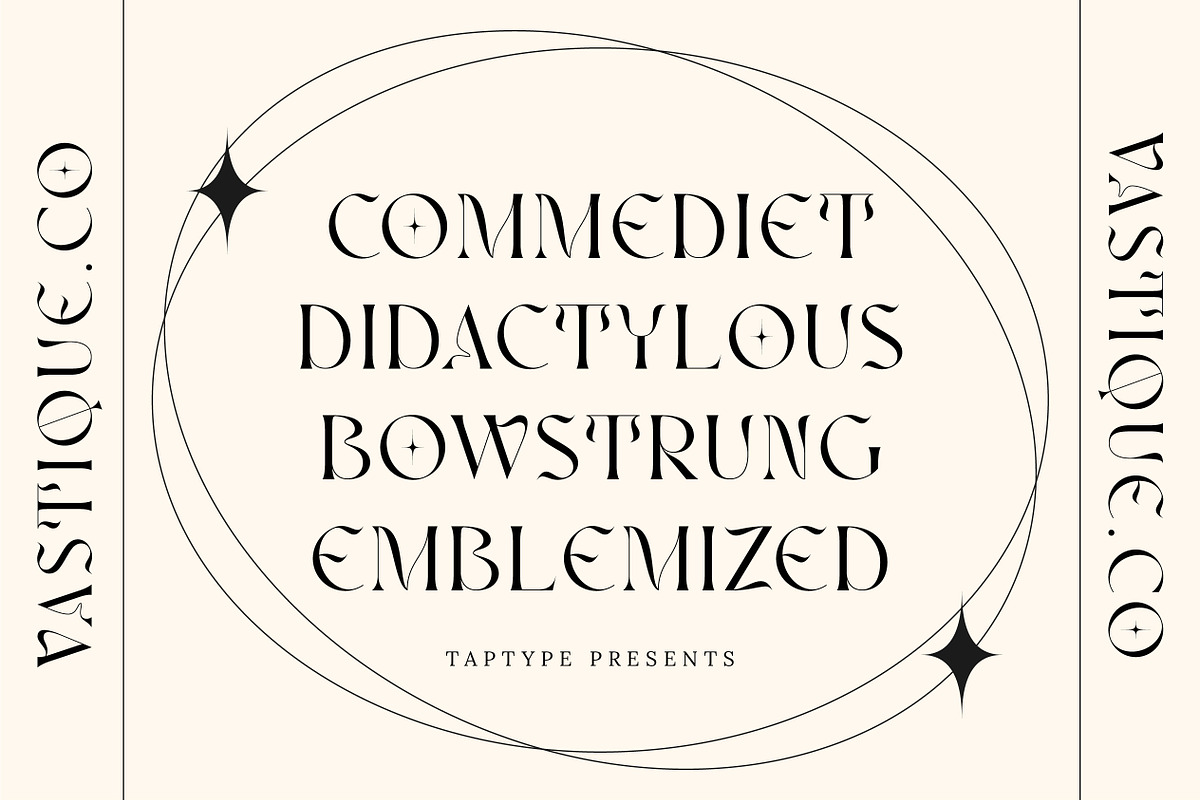 Vastyque - Modern Ligatures Serif, a Serif Font by Vesvocrea (Photo 4 of 12)