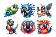 Watercolor parrot crazy Clipart, an Illustration by Daily.Designs (Thumbnail 3 of 5)