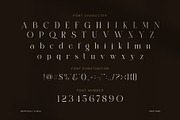 Amida Elegant Display Serif Font, a Serif Font by Graphicxell (Thumbnail 7 of 8)