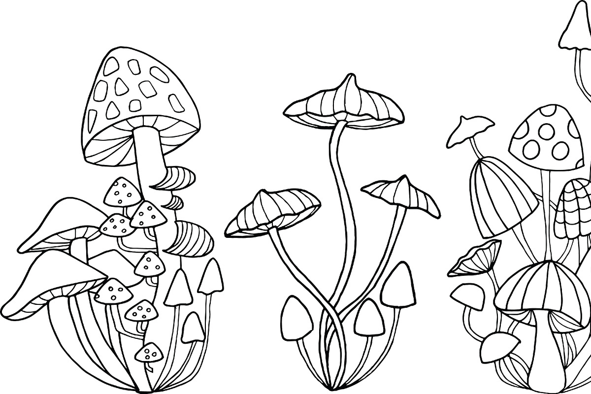Mushrooms - color and outline, an Illustration by Valeri Nick (Photo 3 of 6)